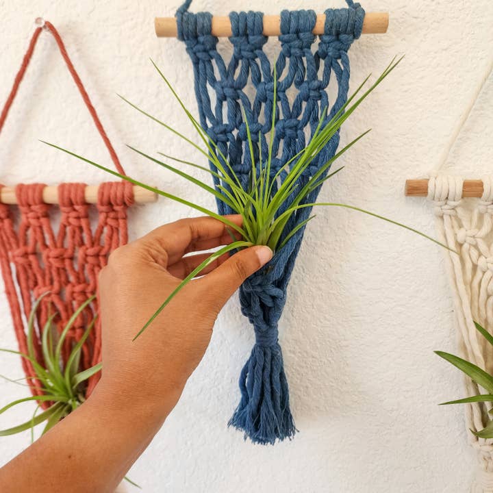 Handmade By Uruba - Wholesale Hanging Planter - Macrame Air Plant hangers, Handmade Air Plant holders