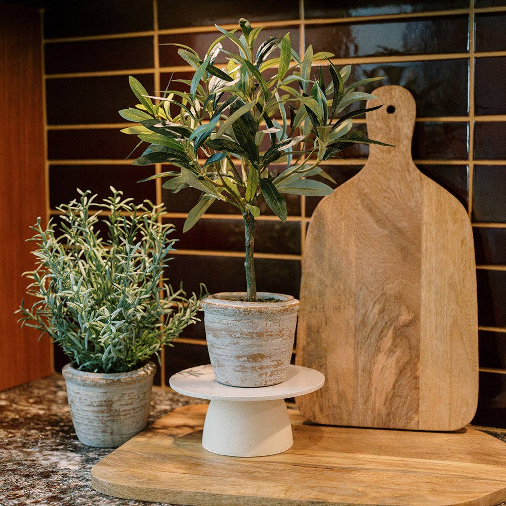 CG Hunter - Wholesale Artificial Plant - 12" Rosemary & 16" Olive Topiary Set8