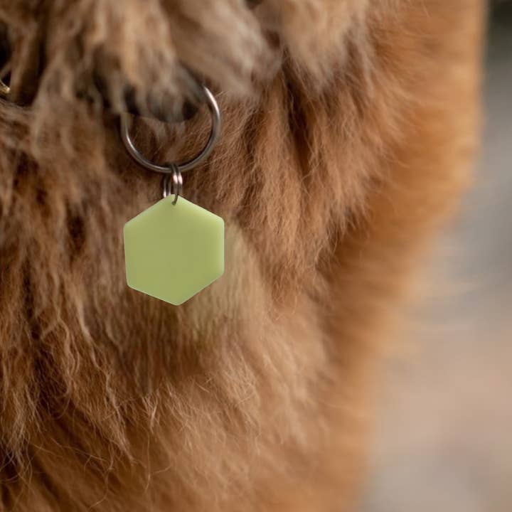 IT GLOWS - Wholesale Pet Identification Tag - Dog - Glow in The Dark Pet Tags/GloPetTag/Dog ID Pet tags/Cat ID Pet Tags/Pet Gift/Engraved Pet tags/Pet name Tag/ID Tag/Glow Key Fob4