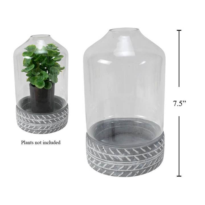 Truu Design - Wholesale Vase - Glass Terrarium w/Concrete Base, 4.5x7.5", wht box w/label