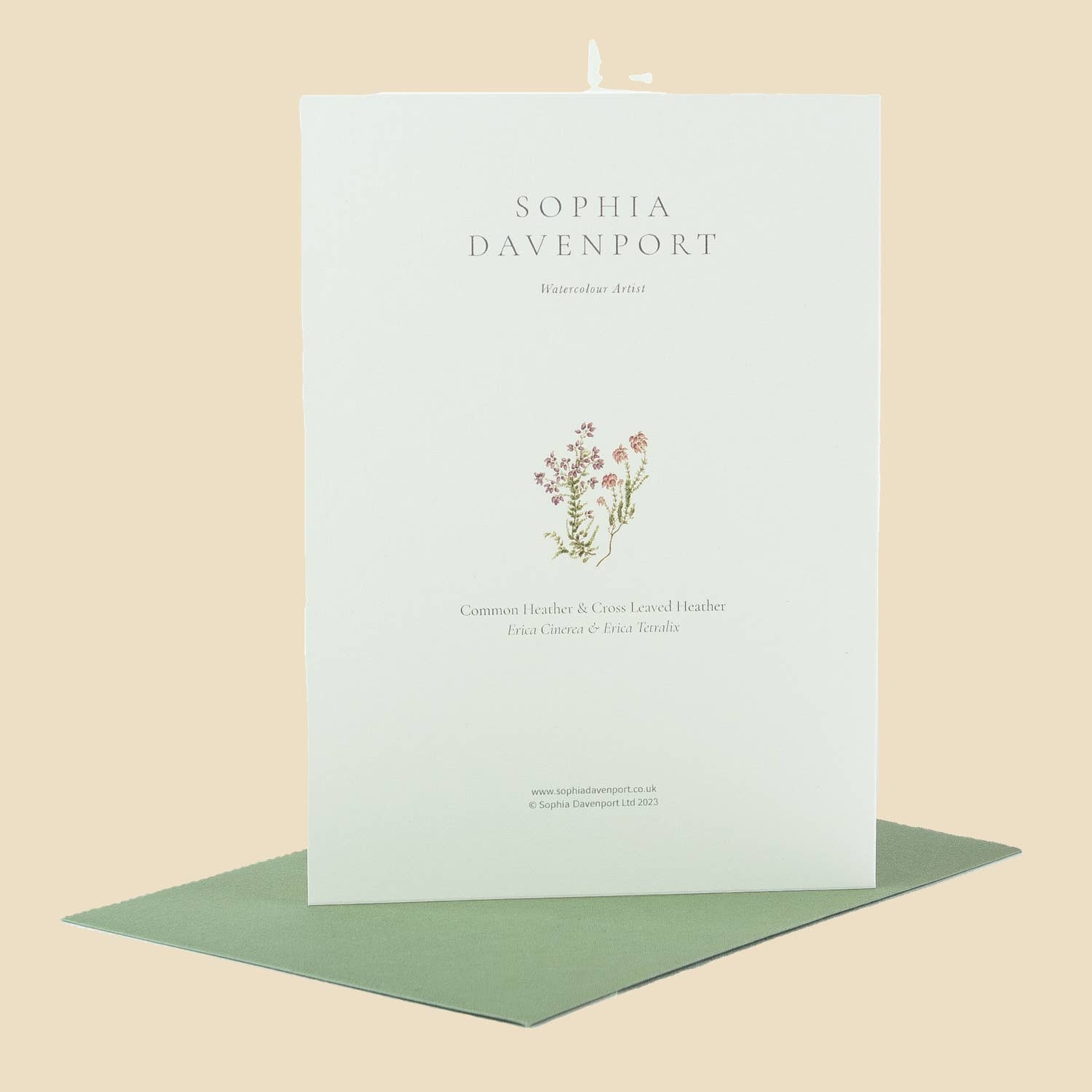 Sophia Davenport - Wholesale Everyday Greeting Card - Wildflower Greeting Cards and Notelets29