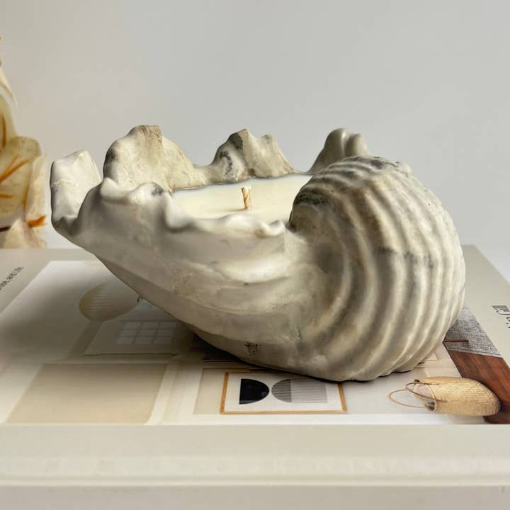 Selene Shell Candle | Summer Candles | Coastal Decor for wholesale by Fancy Concrete