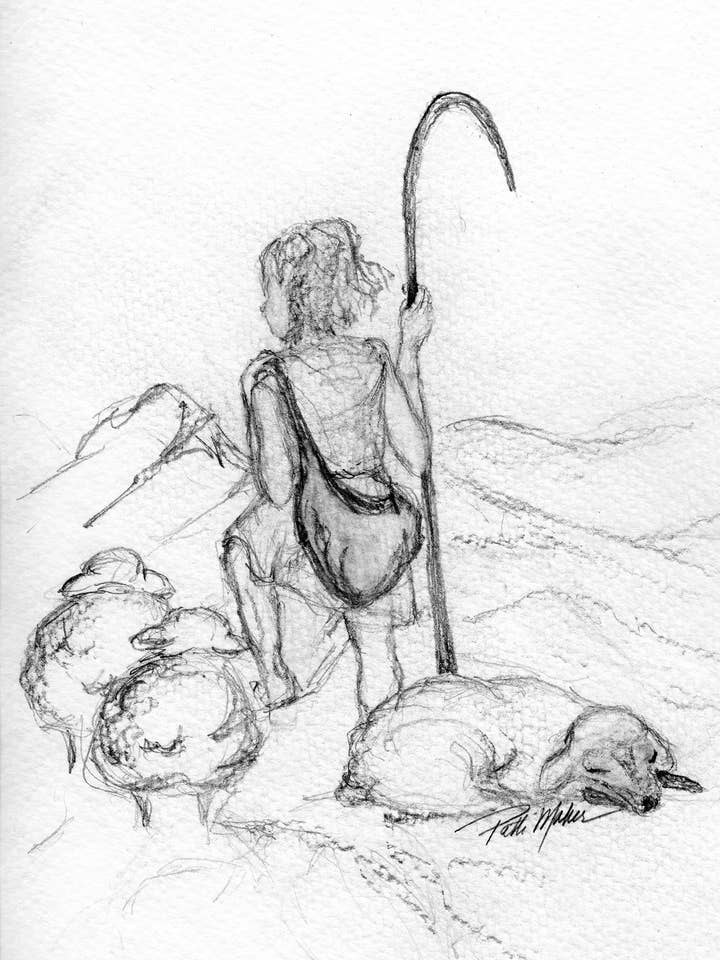 Shepherd (Satz von 8) für den Großhandel von Fine Lines