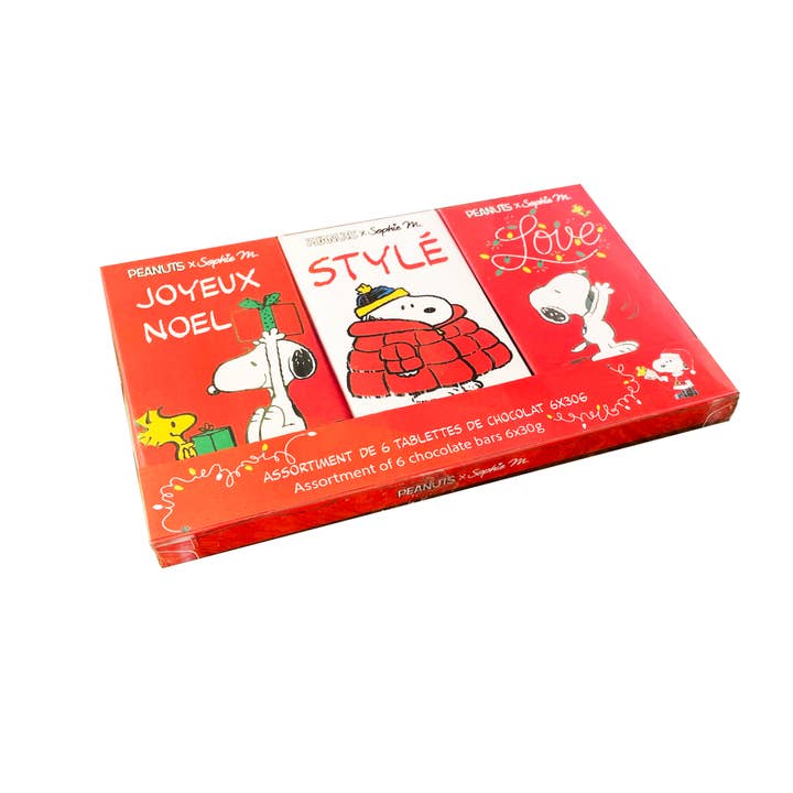 Peanuts Snoopy BOX 6 assorted chocolate bars for wholesale by TASTY FRANCE