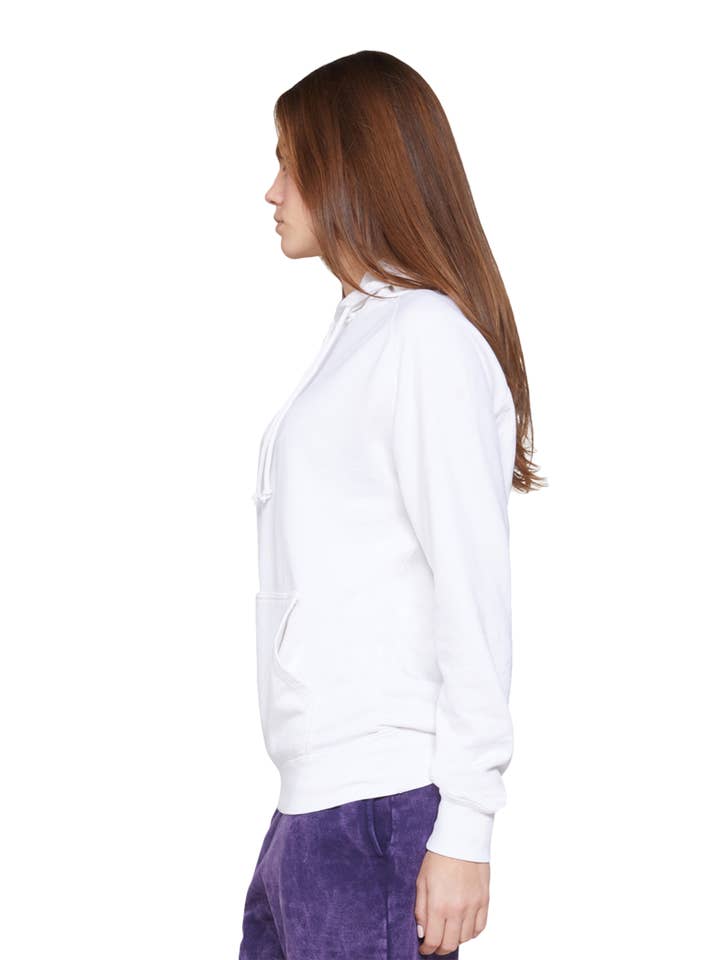 Lane Seven Apparel - Wholesale Hoodie - Men's - Vintage Raglan Hoodie
