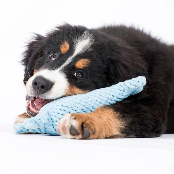 LABONI - Volentis GmbH - Wholesale Pet Rope Toy - Dog - Blanket TEDDY GREY - Multifunctional Blanket4