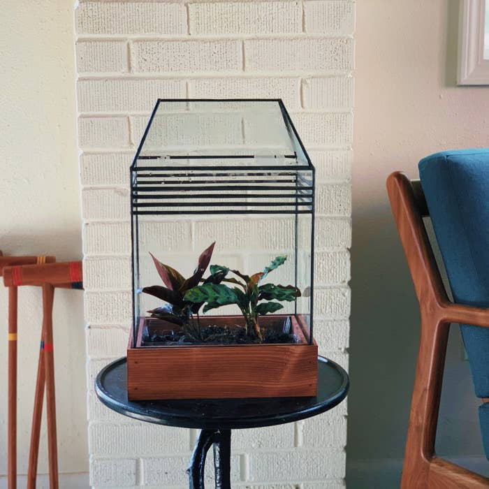 Leadhead Glass – wholesale Terrarium – Baret Handmade Stained Glass Terrarium