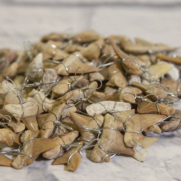 Cold River Mining - Wholesale Pendant/Charm Necklace - SHARK TOOTH NECKLACE PACK OF 20