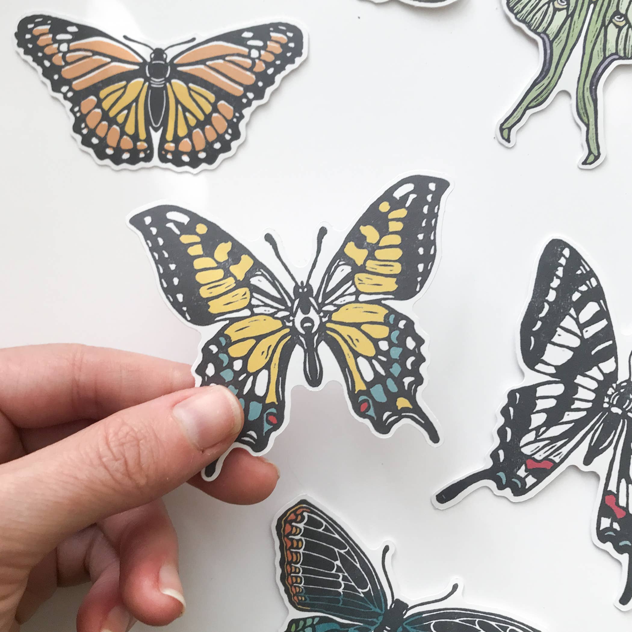 Root & Branch Paper Co. - Wholesale Sticker - Eastern Tiger Swallowtail Butterfly Sticker1