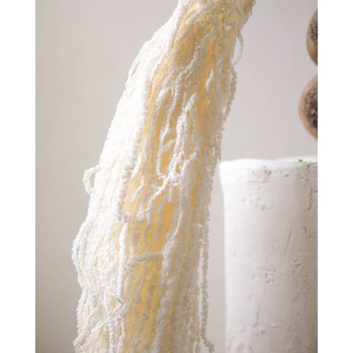 Twenty Third by Deanne – wholesale Dried/pressed flowers – Dried Amaranthus (White)