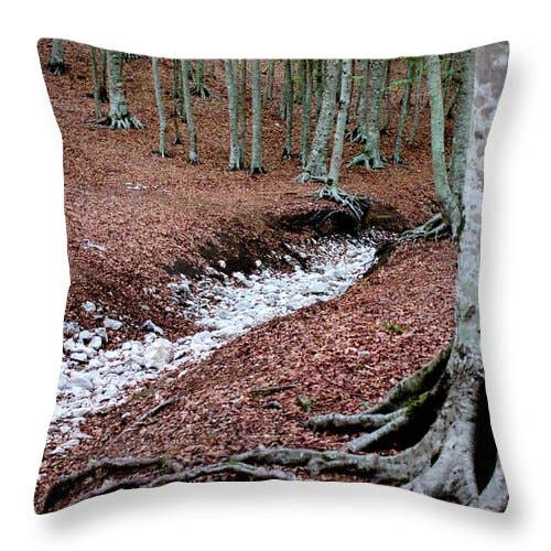 CUSCINO "THE TREE'S ROOTS" per la vendita all'ingrosso da parte di sorayadapuzzostore