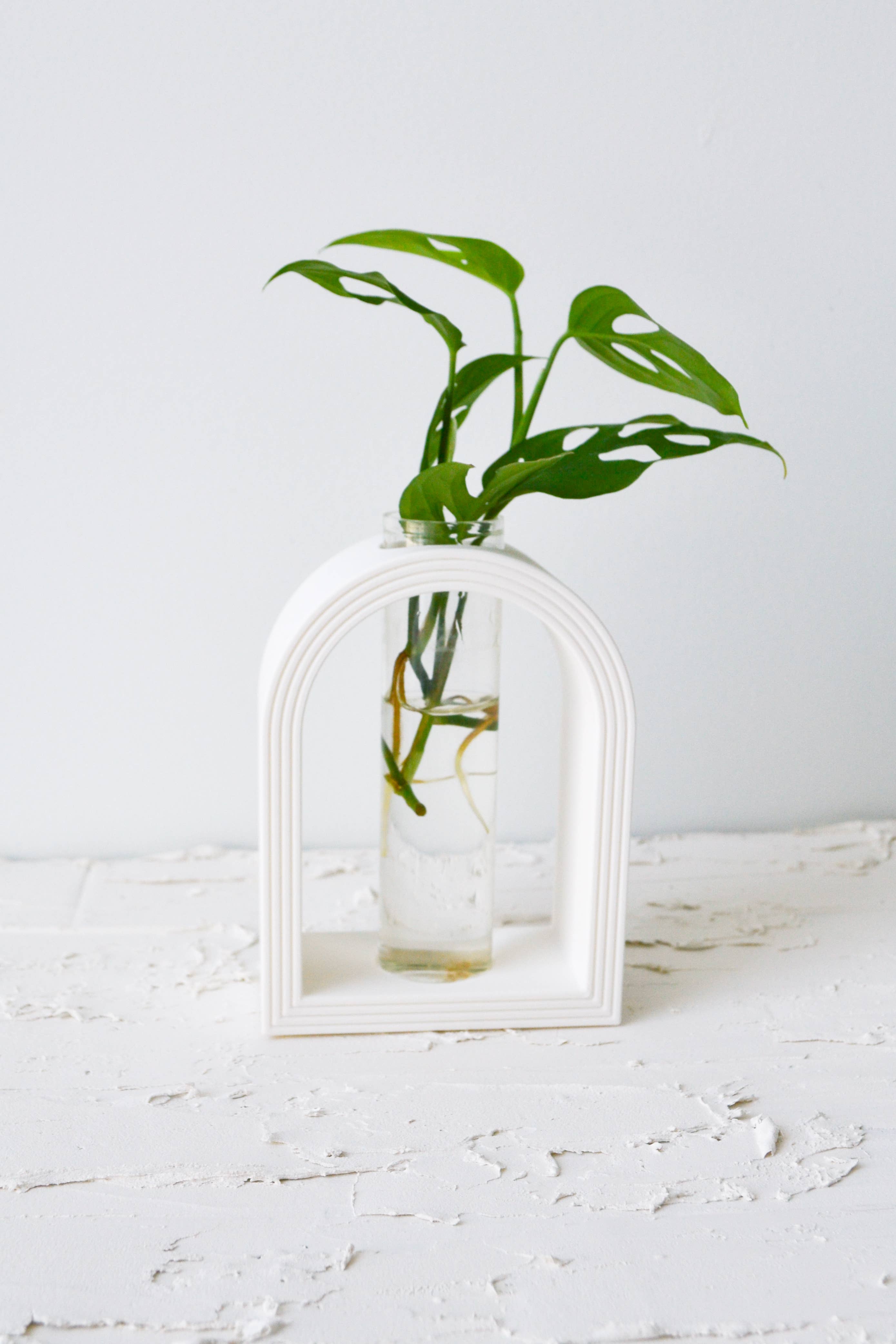 LindaMakess - Vendita all'ingrosso Vasi per piante - Supporti per Propagazione ad Arco Arcobaleno in Stampa 3D3