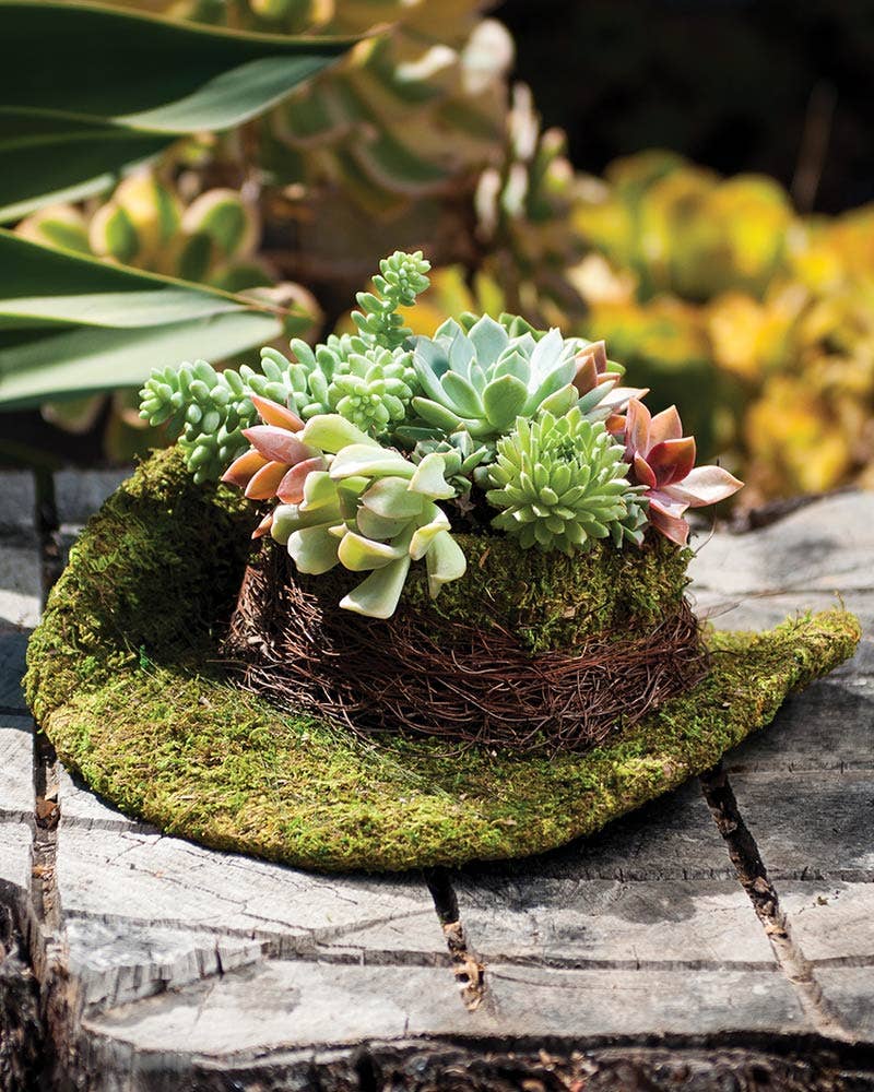 Wicker Cowboyhoed voor groothandel op Faire1