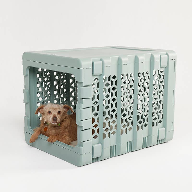 KindTail - Wholesale Pet Carrier - Dog - Medium Pawd® | Modern Collapsible Plastic Dog & Pet Crate16