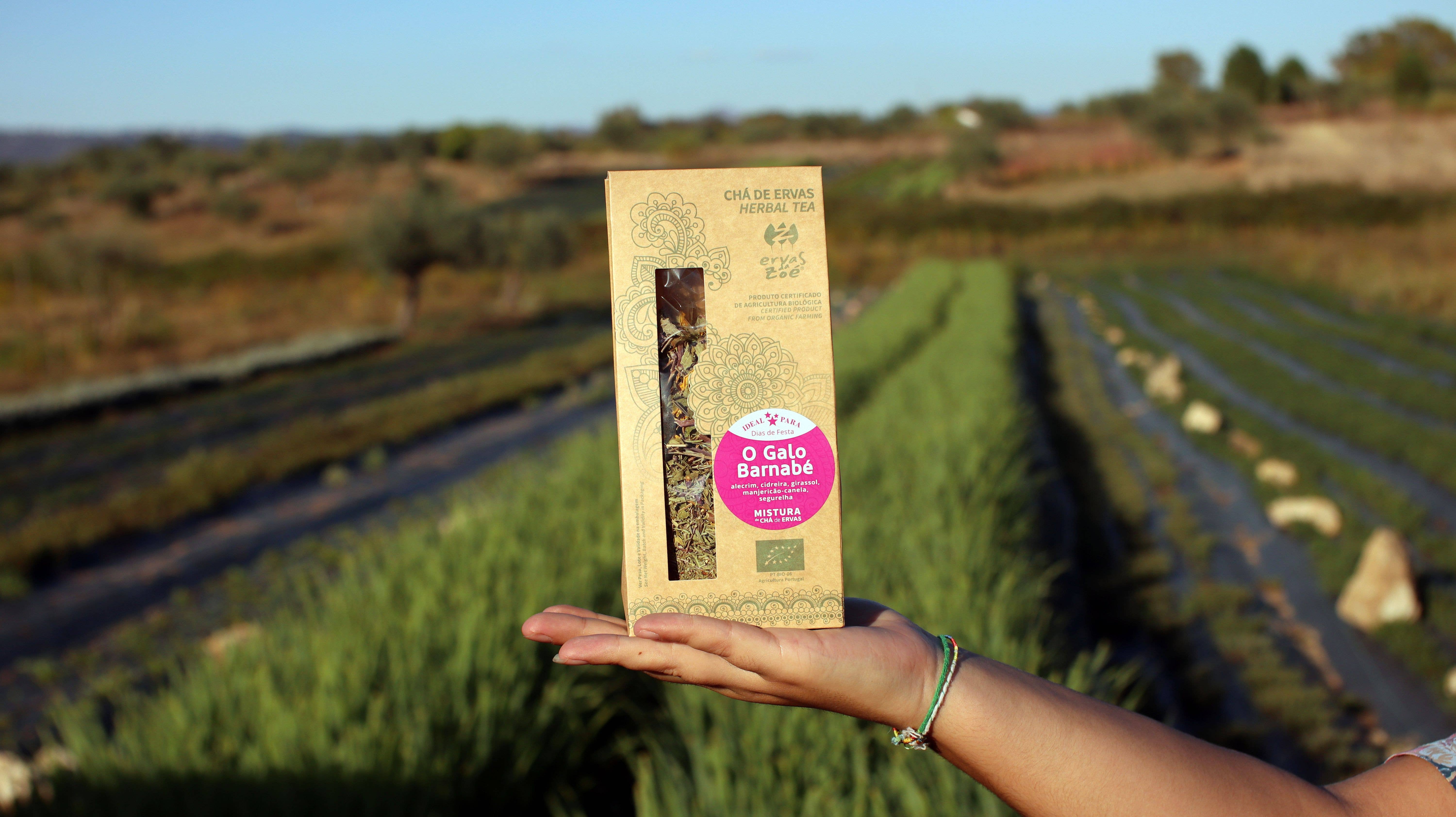 Ervas da Zoé - Wholesale Health/Detox Tea - 42. Herbal Blend Tea “Barnabas Rooster” Bio 40g