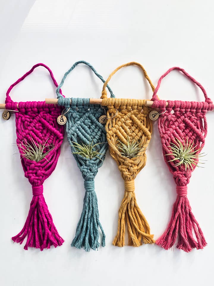 Macrame Air Plant Holder – Boho Hanging Plant Decor for wholesale by A Branch & Cord