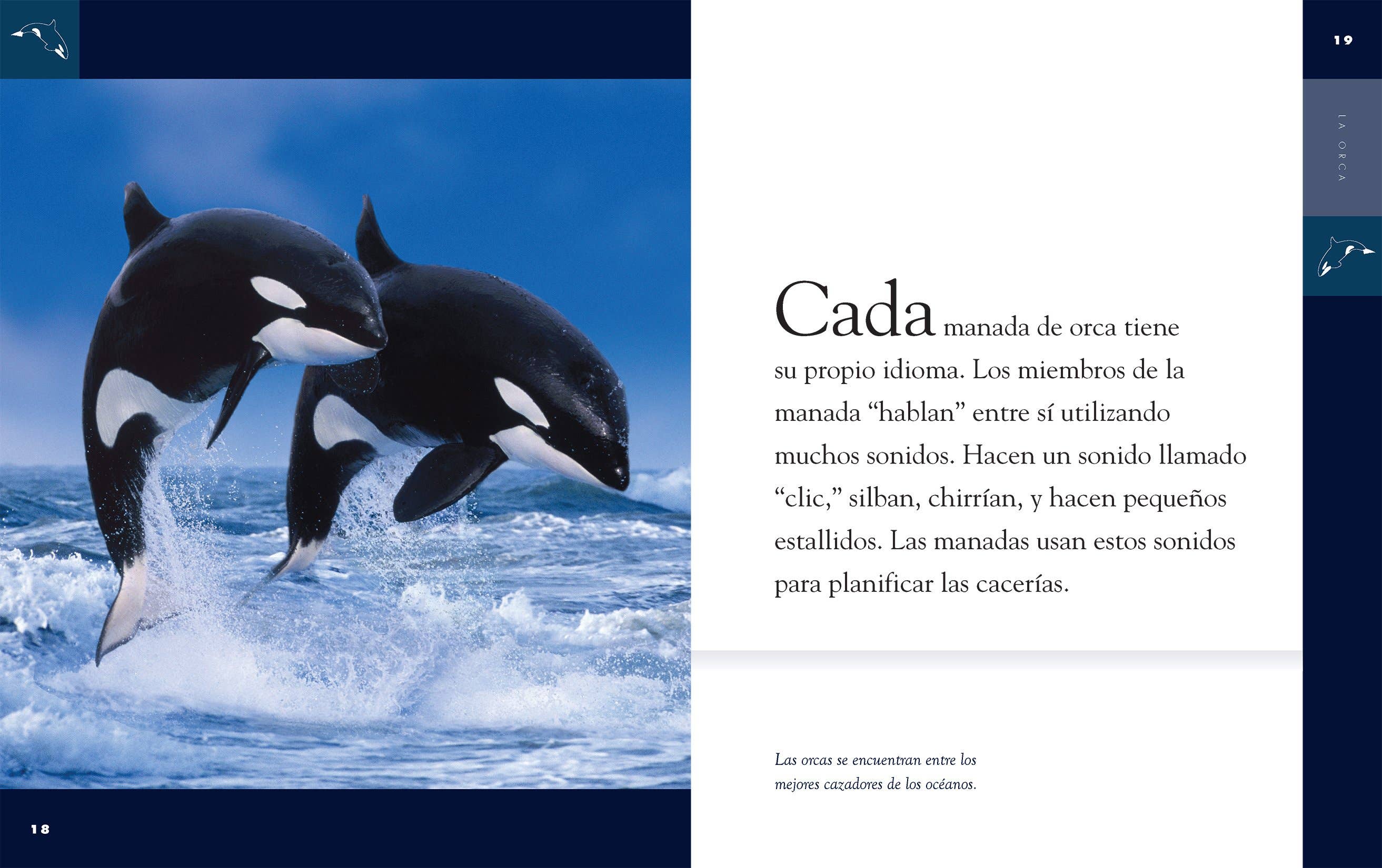 The Creative Company - Venta al por mayor Libro de naturaleza y aire libre - Animal planeta: La orca1