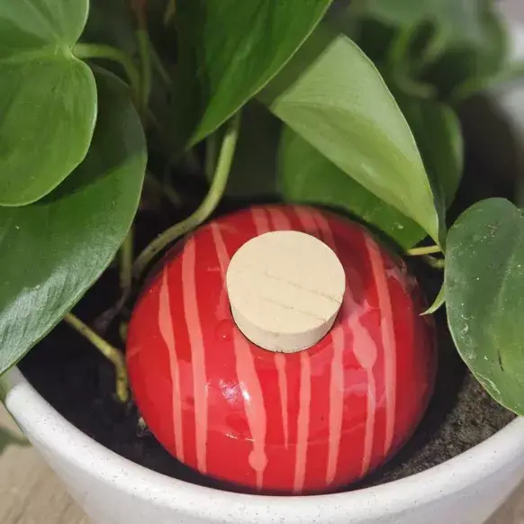 Poterie lutton - Vente Arrosoirs - Ollas Galet 15 cl – Arrosage autonome et stylé19