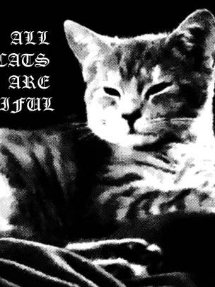 Tutti i gatti sono belli. per la vendita all'ingrosso da parte di DEUS DETRITUS