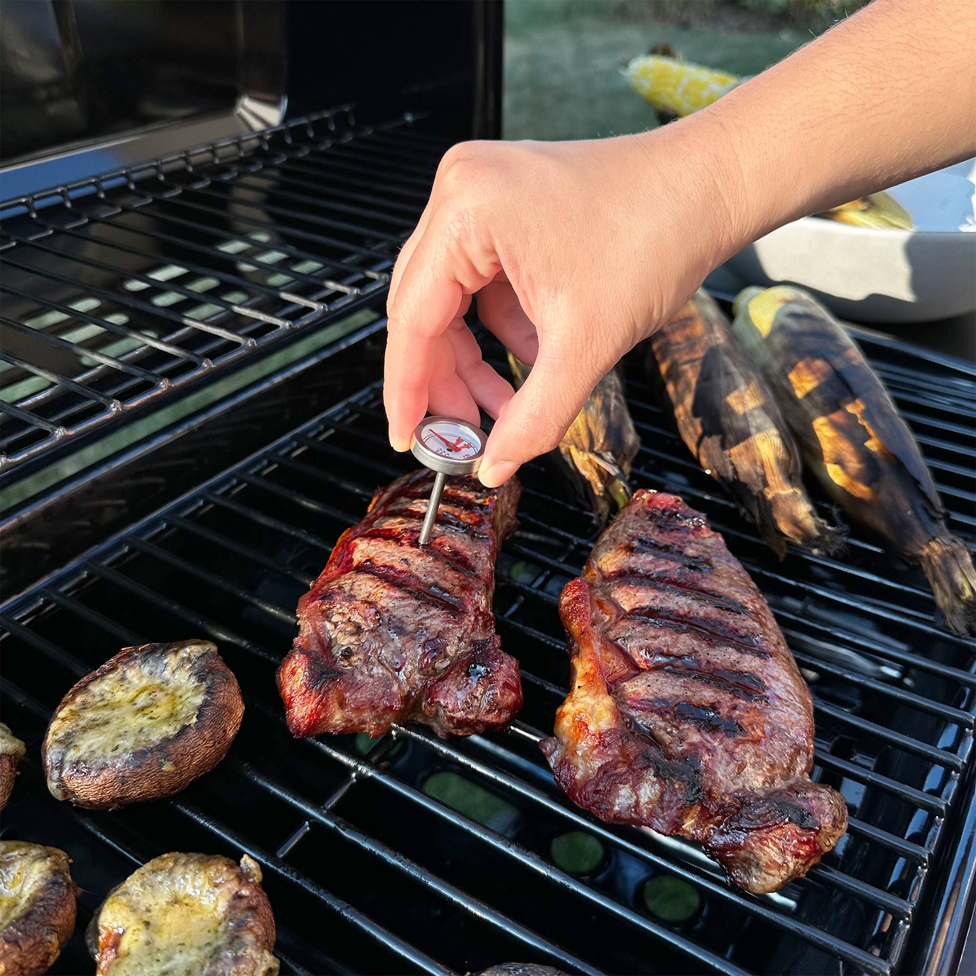 R&M International – Großhandel Thermometer – Mini-Fleischthermometer für Rindfleisch 70 Stück3