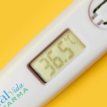 JOCCA - Wholesale Thermometer - Termómetro digital2