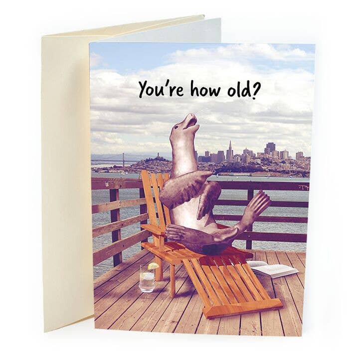 Divertente foca compleanno per la vendita all'ingrosso da parte di St Thomas Greetings