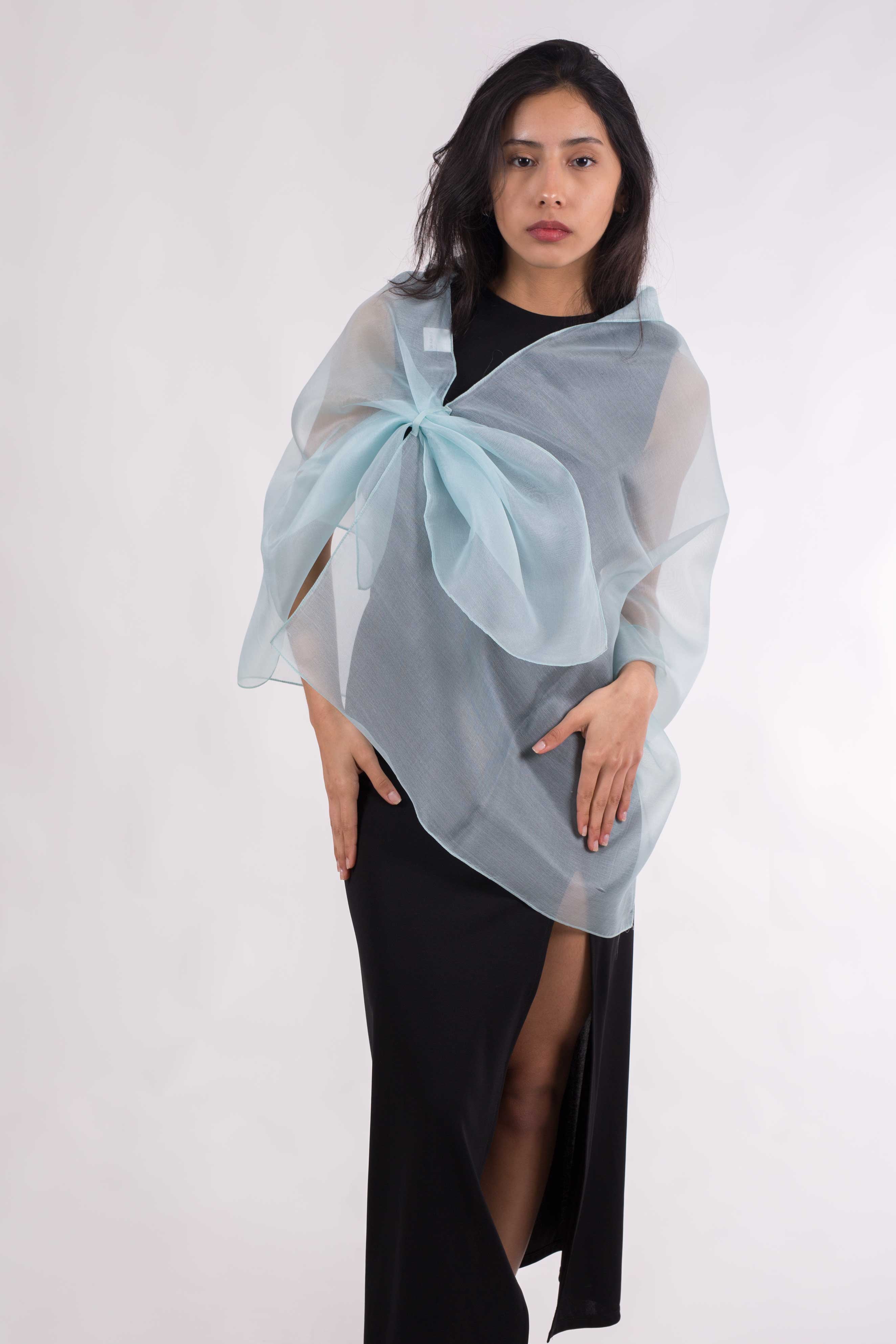 MR Complements - Venta al por mayor Chal - Mujer - Chal de Organza Seda Natural15