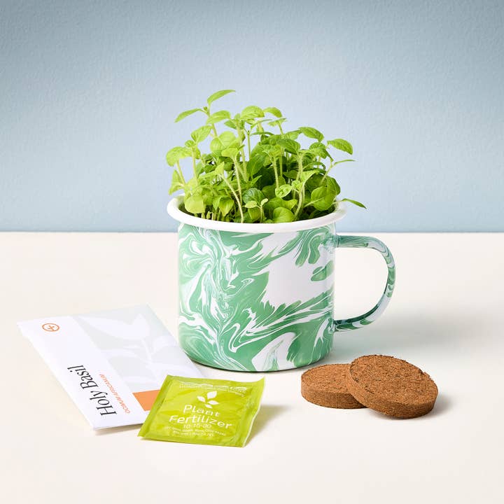 Modern Sprout - Wholesale DIY Craft Kit - Altered Herbs Mug Grow Kits