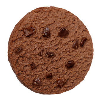 Lady Joseph - Vendita all'ingrosso Biscotti - Gallette artigianali vegane con cacao e cioccolato fondente4