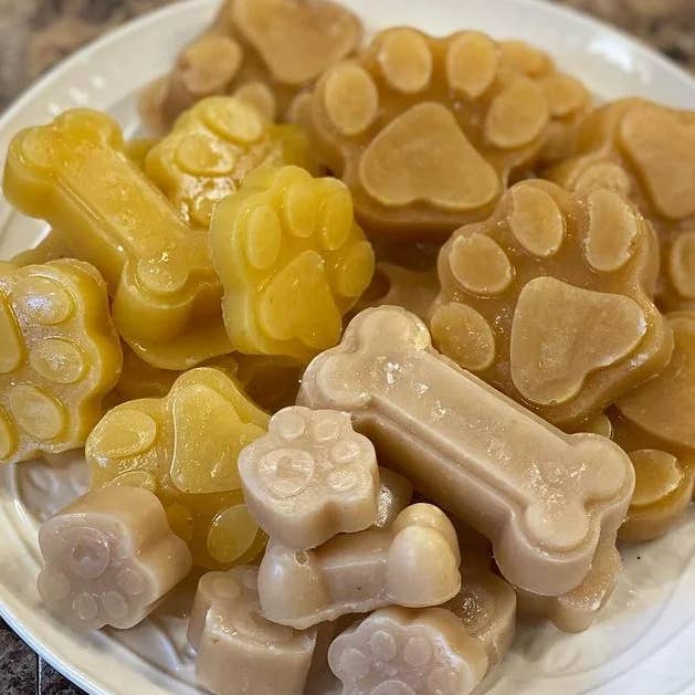 Jaffee's Bone Broth - Wholesale Pet Supplement - Cat/Dog - Frozen Treat Tray