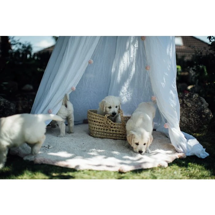 Lorena Canals - Wholesale Area Rug - Kids & Baby - Washable Rug Bubbly Natural - Vintage Nude4