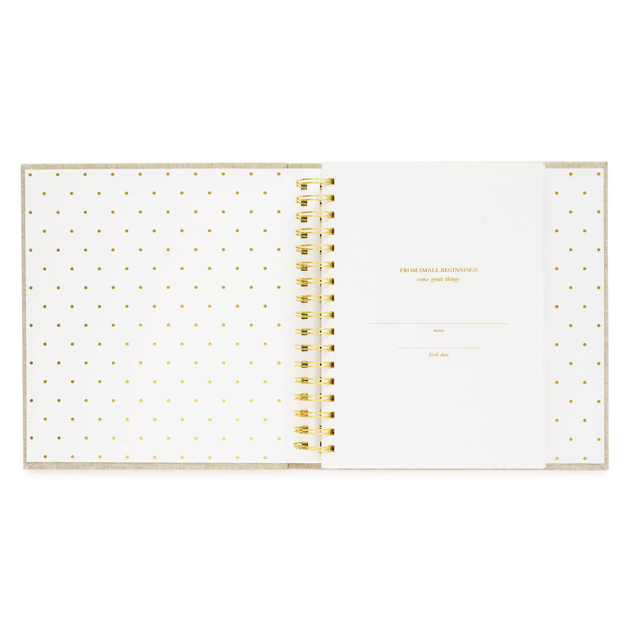 Sugar Paper - Vente Livre de souvenirs – enfant et bébé - Livre pour bébé, Petit pois noir et crème5