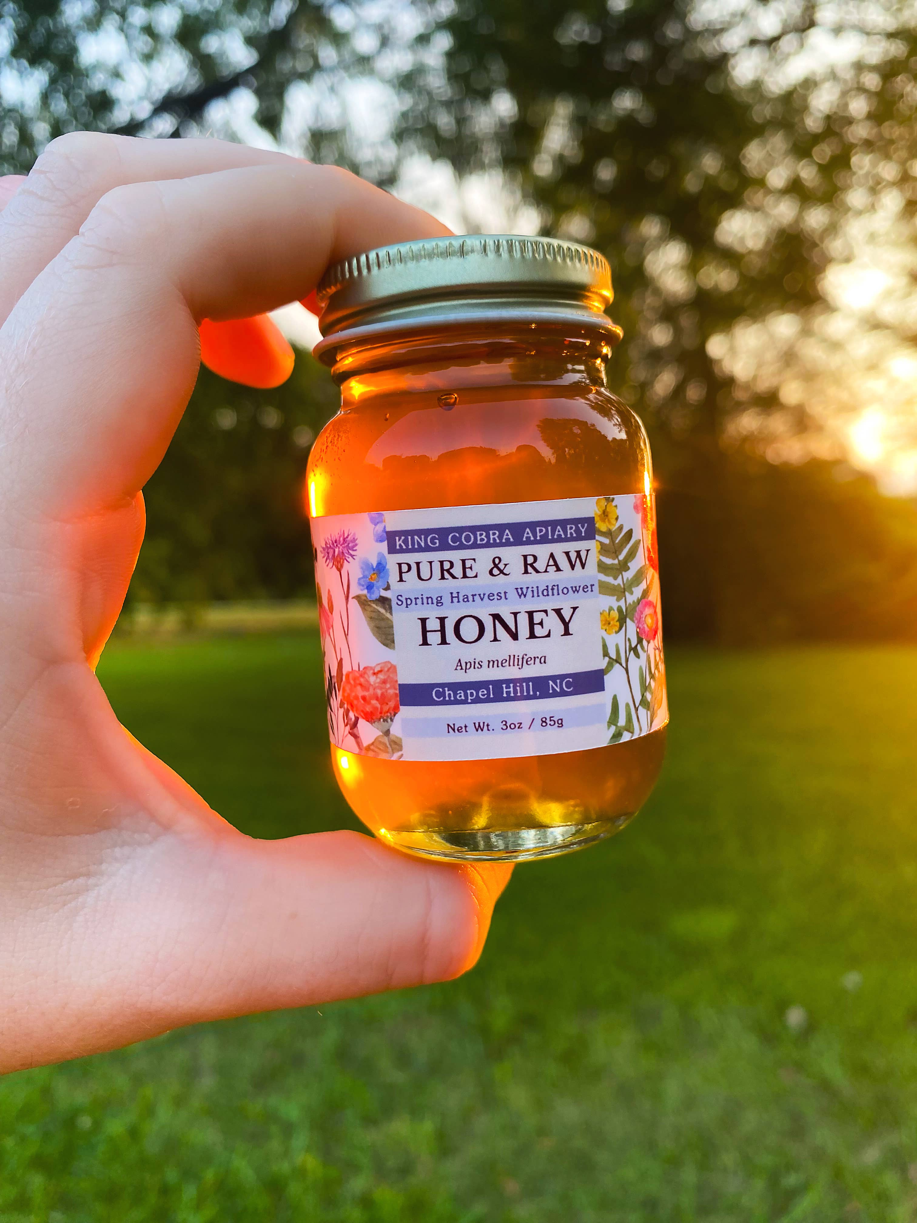 King Cobra Apiary Honey - Wholesale Honey - North Carolina Local Honey - 3 oz Glass Jar - Raw Wildflower2