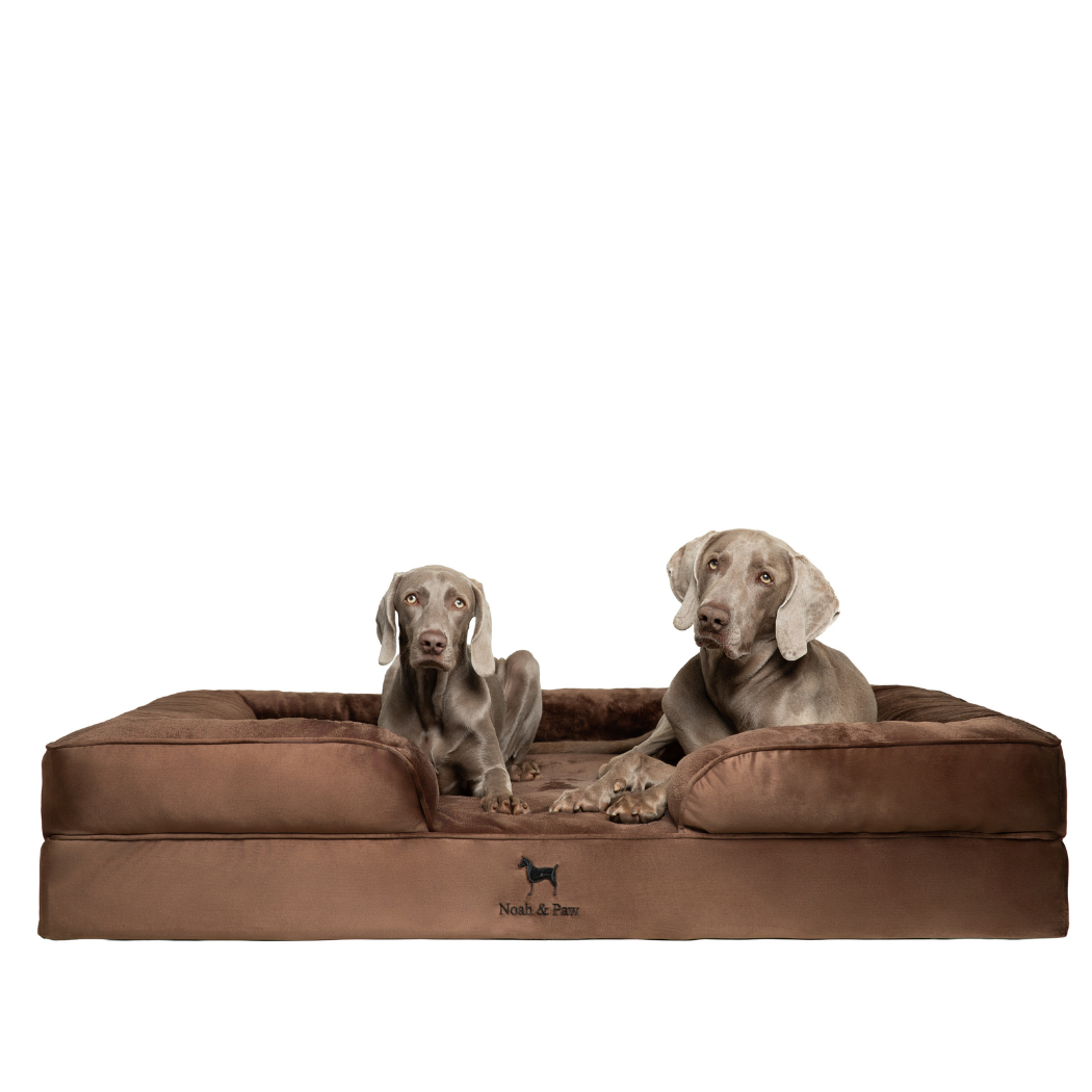 NOAH AND PAW LLC - Wholesale Bed voor huisdieren- Kat/hond - Velvet orthopedisch hondenbed met memoryfoam en verkoelende gel9