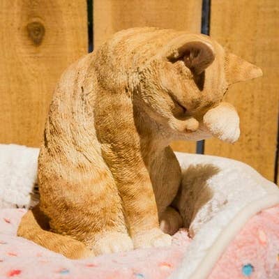 Hi-Line Gift Ltd. - Wholesale Decorative Figurine - Orange Tabby Cat American Shorthair Washing