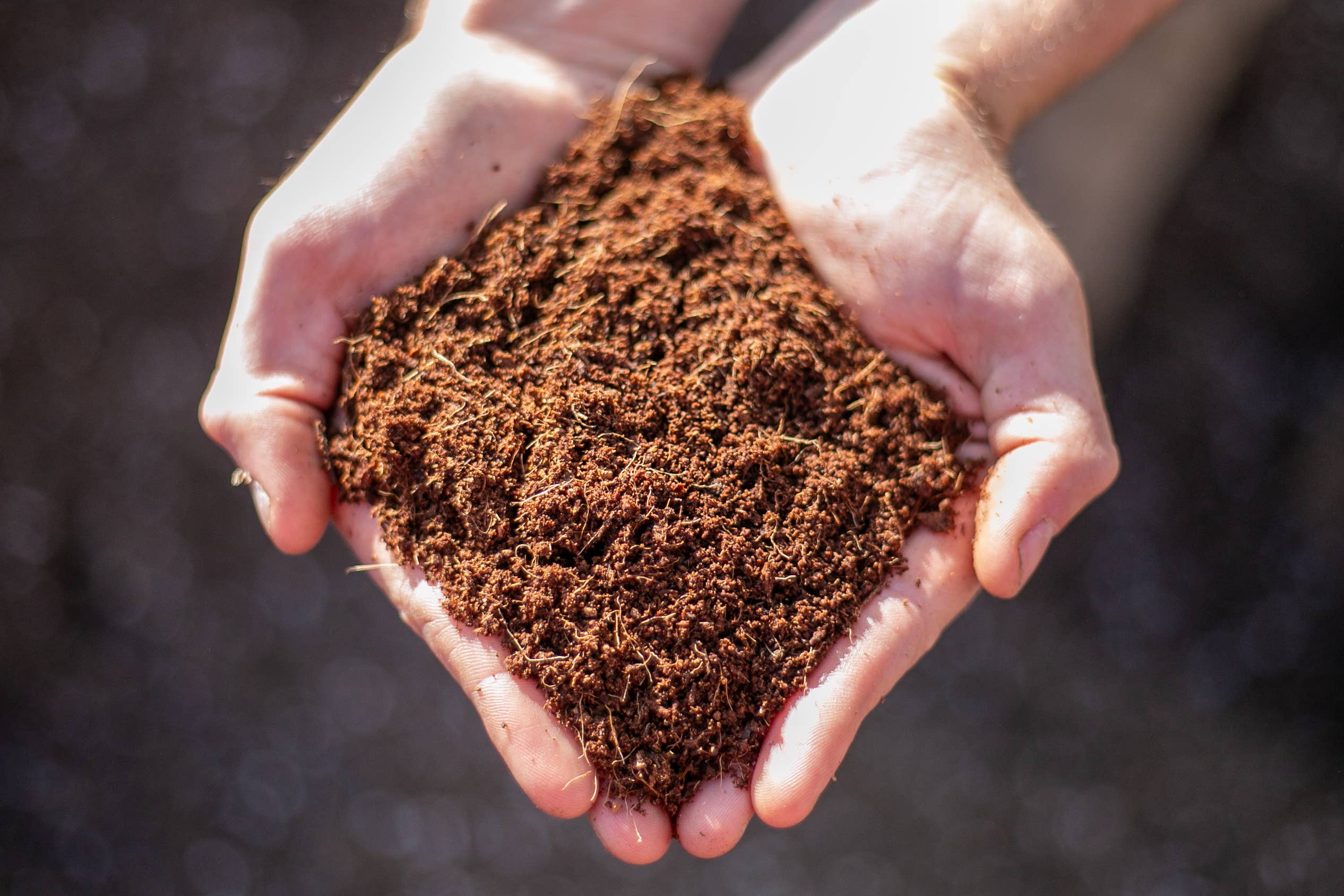 Ivy May Co - Wholesale Planting/potting soil - Bulk Amendments- Pre-Moistened Organic Coco Coir (13 Gal)