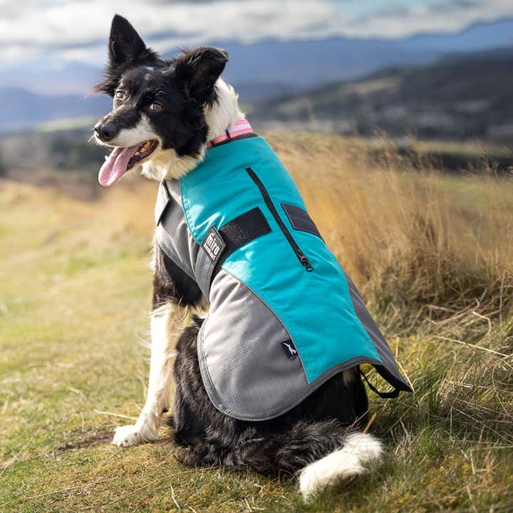 Miro & Makauri Winter Dog Coat "Teal & Grey" for wholesale by Miro & Makauri