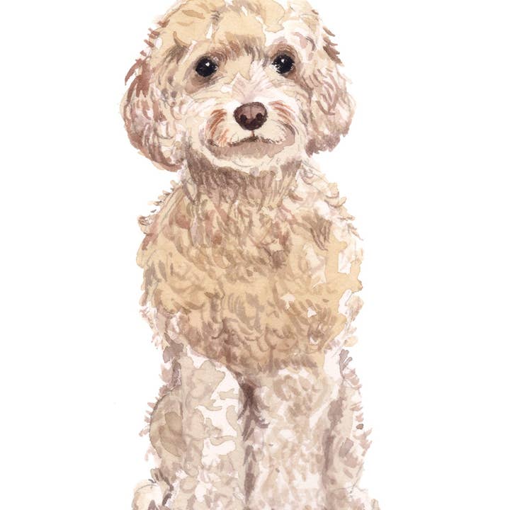 Bourbon & Bacon – Engroshandel Brevpapir/sæt med noteskort – Cockapoo, Champagne Notekort