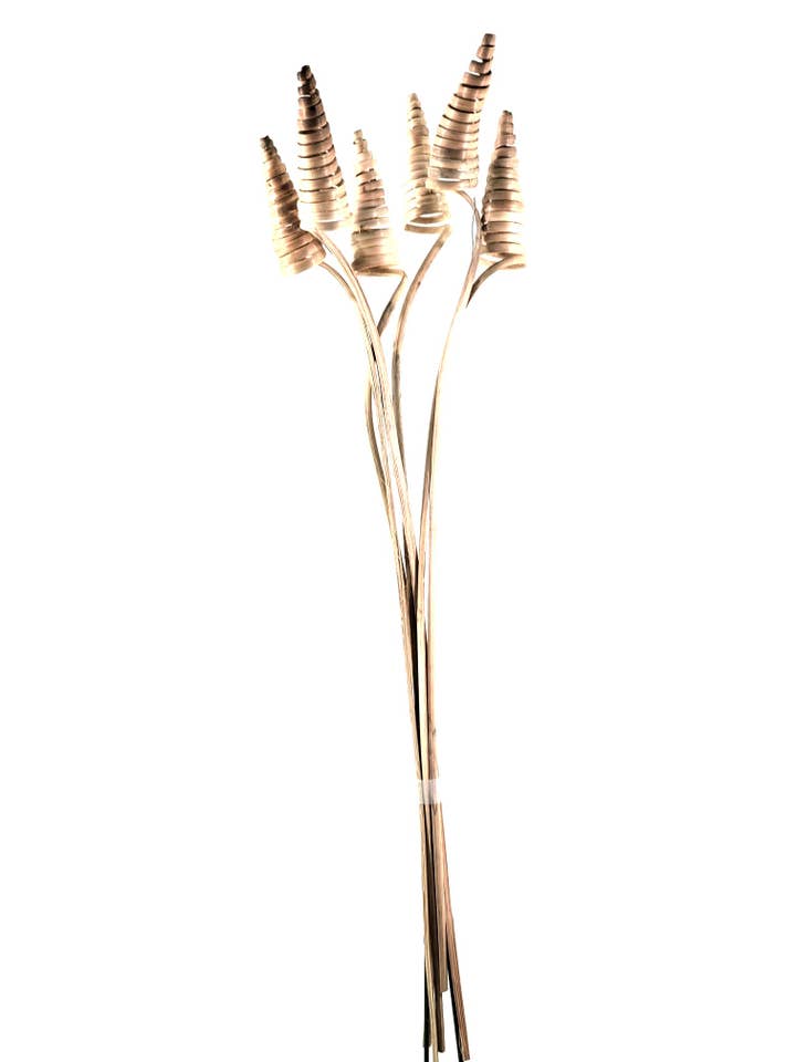 Cane Cones (Jumbo) for wholesale by THE ACCESSORY COLLECTION