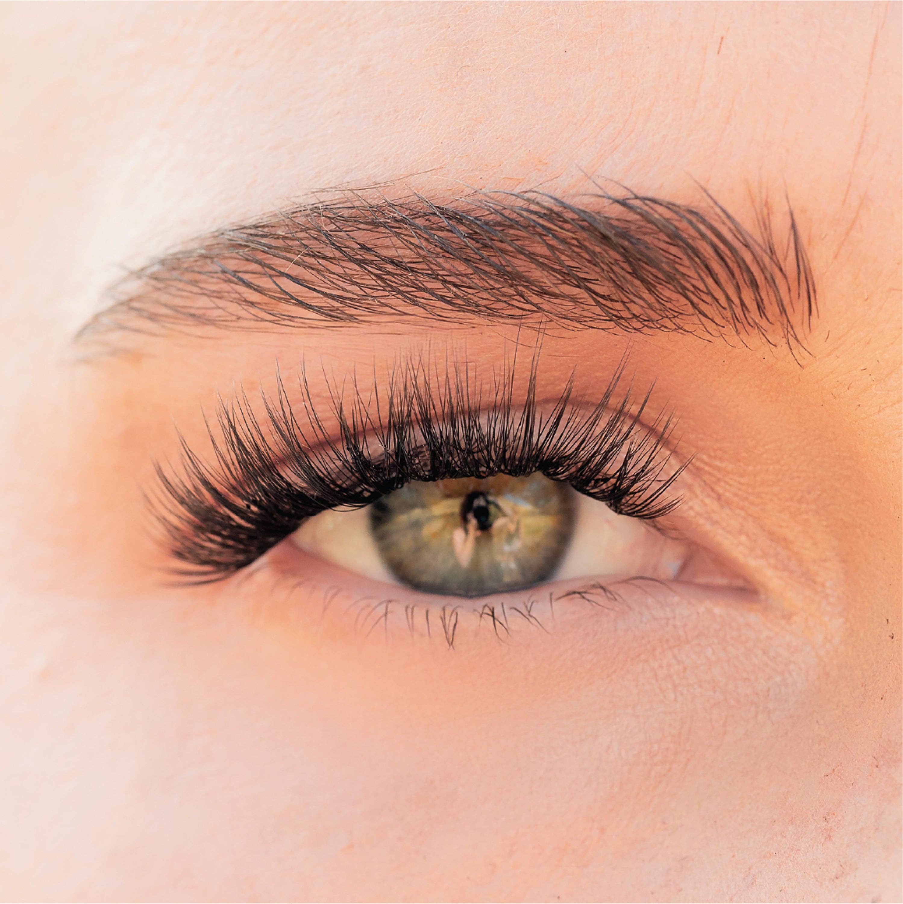 Pro Lash - Wholesale Valse wimpers / Nep wimpers - De Serena Duo Kit Nr. 461