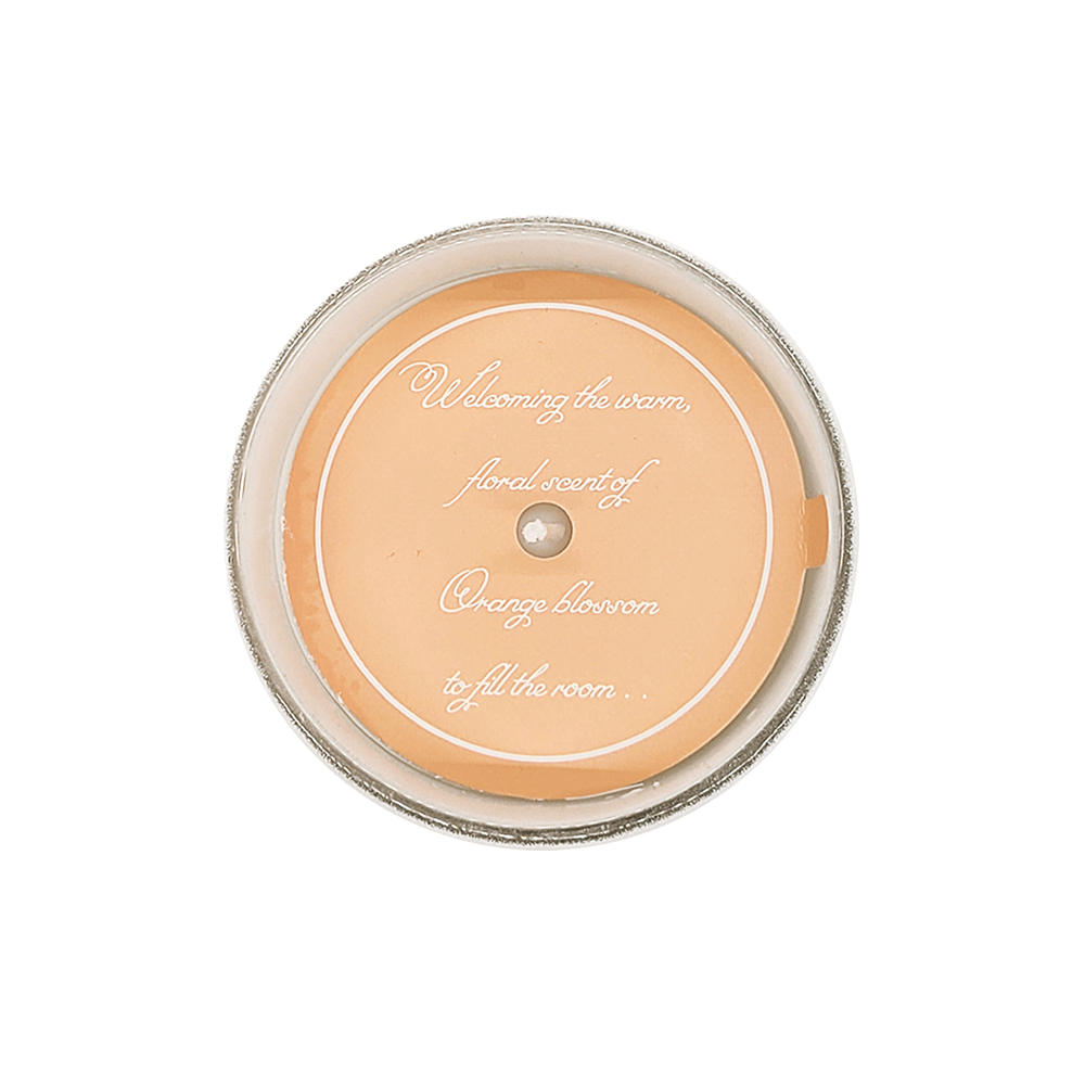 Candle Journey - Wholesale Jar/Filled Candle - The Florida Candle7