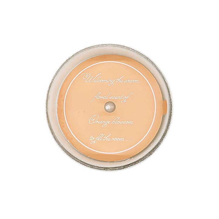 Candle Journey - Wholesale Jar/Filled Candle - The Florida Candle7
