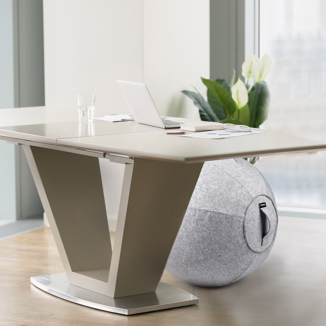 Bintiva – wholesale Fitness equipment – Luxurious Covered 65cm Stability Ball - For Ergonomic Seating, Therapy, and Exercise11