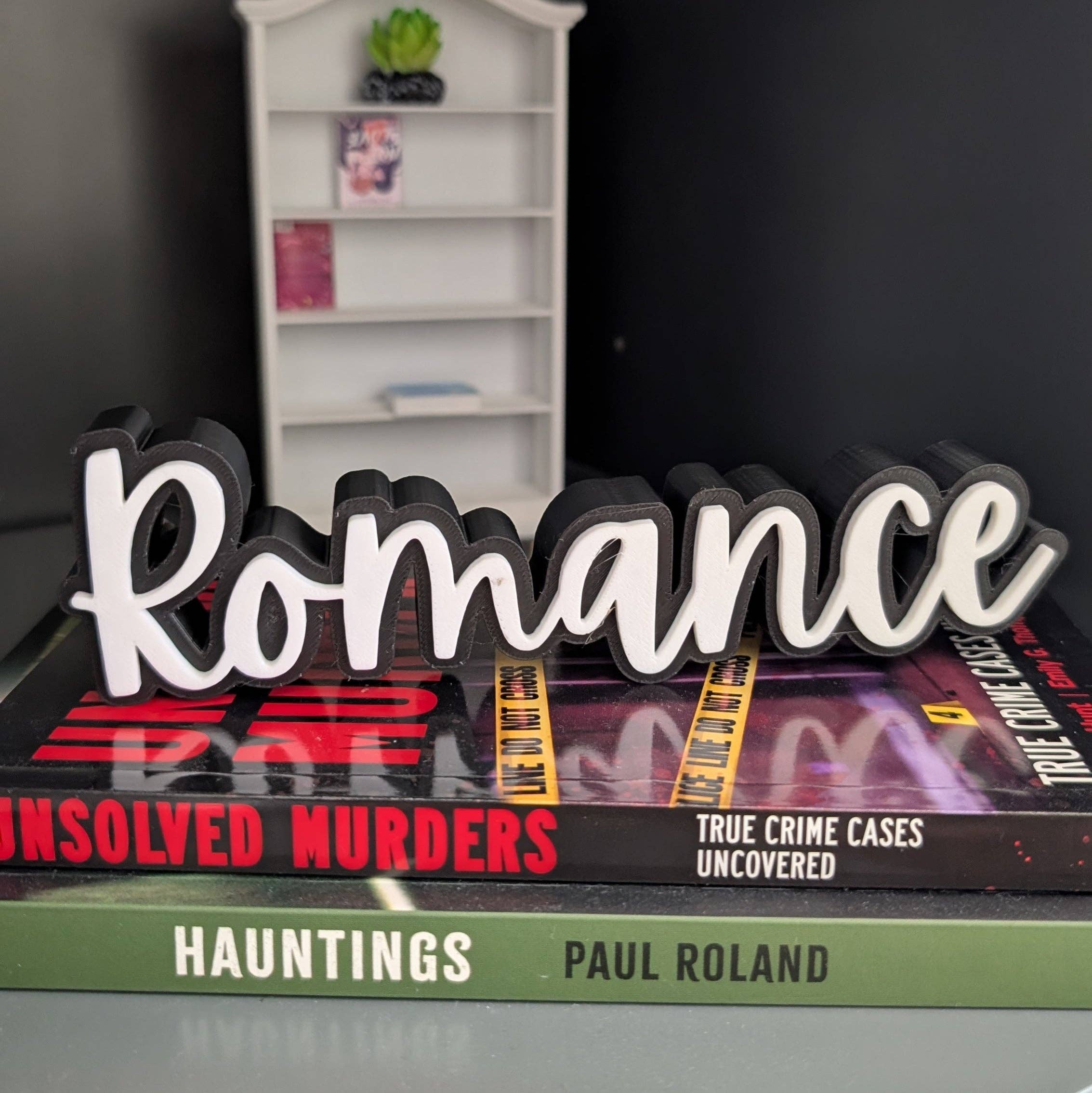 The Gift Genie LLC - Wholesale Bookend - 3D Book Sitters10