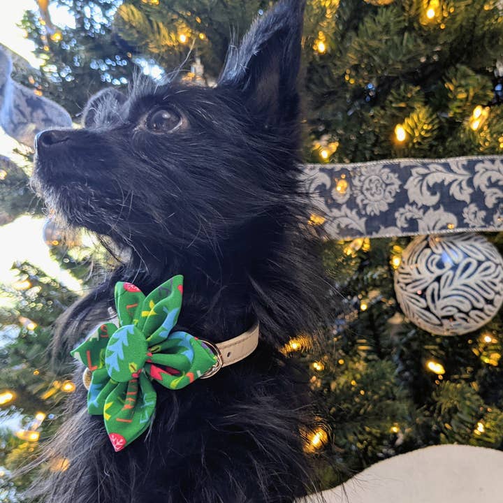 Huxley & Kent – Engroshandel Kæledyrsbutterfly – Kat/hund – Glædelig & Bright Pinwheel1