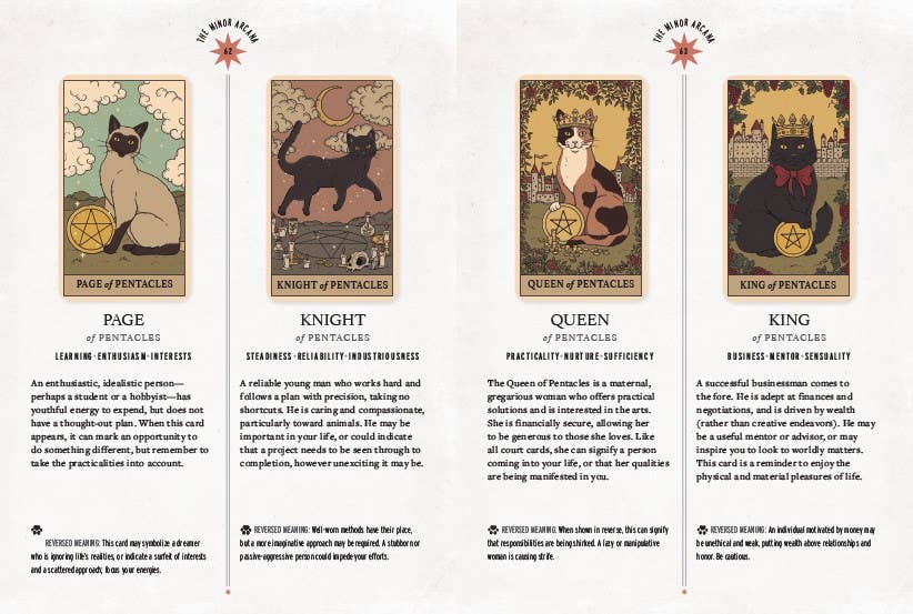 Abrams - Vente Cartes de tarot - Les chats règnent sur le Tarot de la Terre2