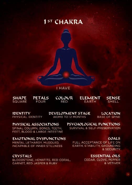 Sansaara Living - Vente Cartes de tarot - Oracle Deck : cartes d'affirmation pour la guérison des chakras6