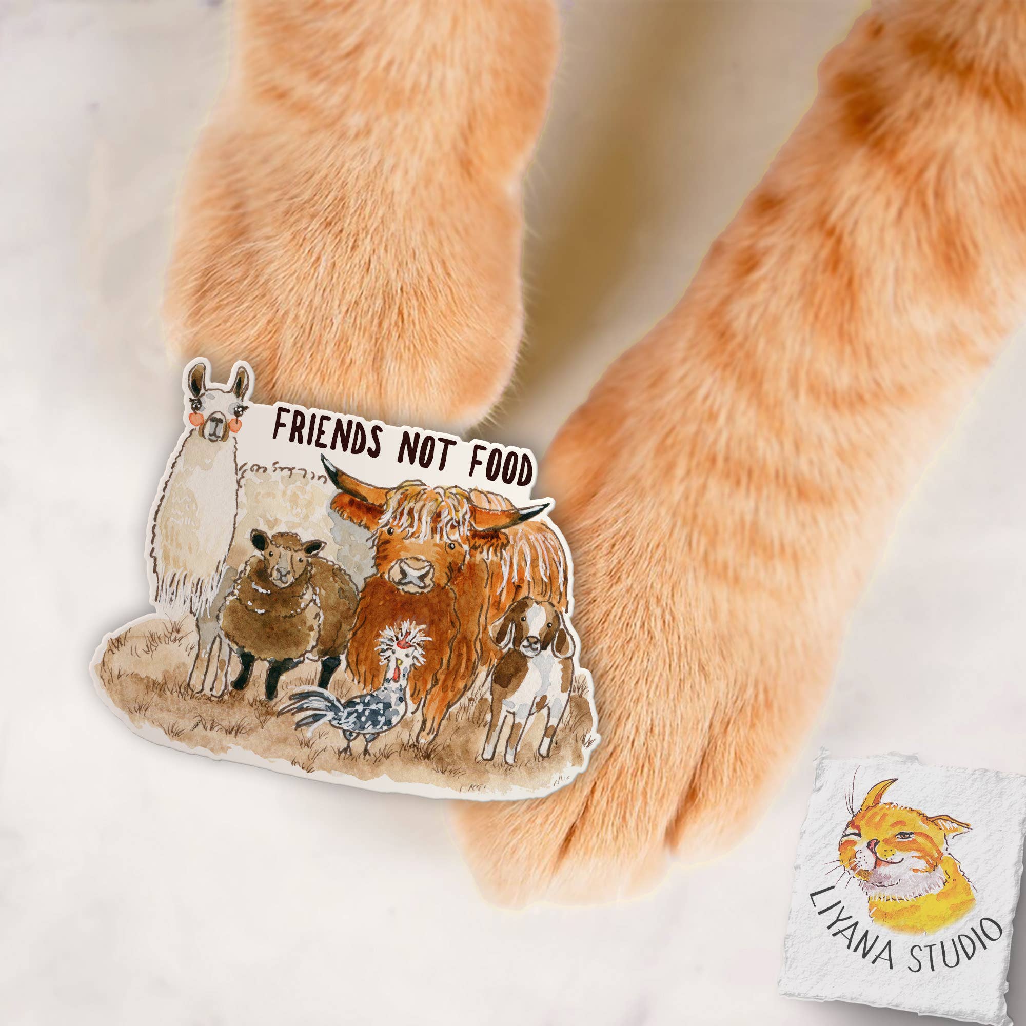 Liyana Studio – Engroshandel Klistermærke – Venner Ikke Mad - Vegansk Vegetarisk Vinyl klistermærker2
