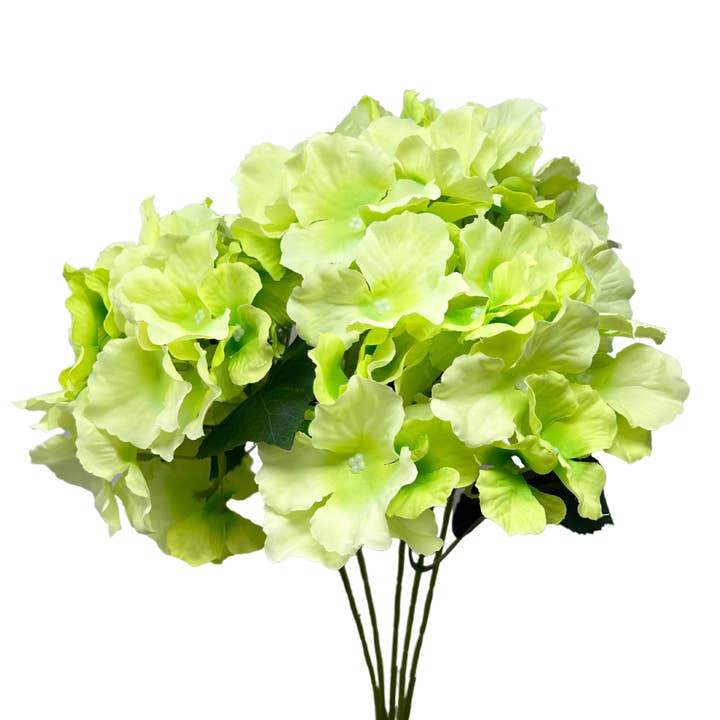 Cypress Garden Hydrangea Bush x 5 - 19” - Green for wholesale by David Christopher's Collection