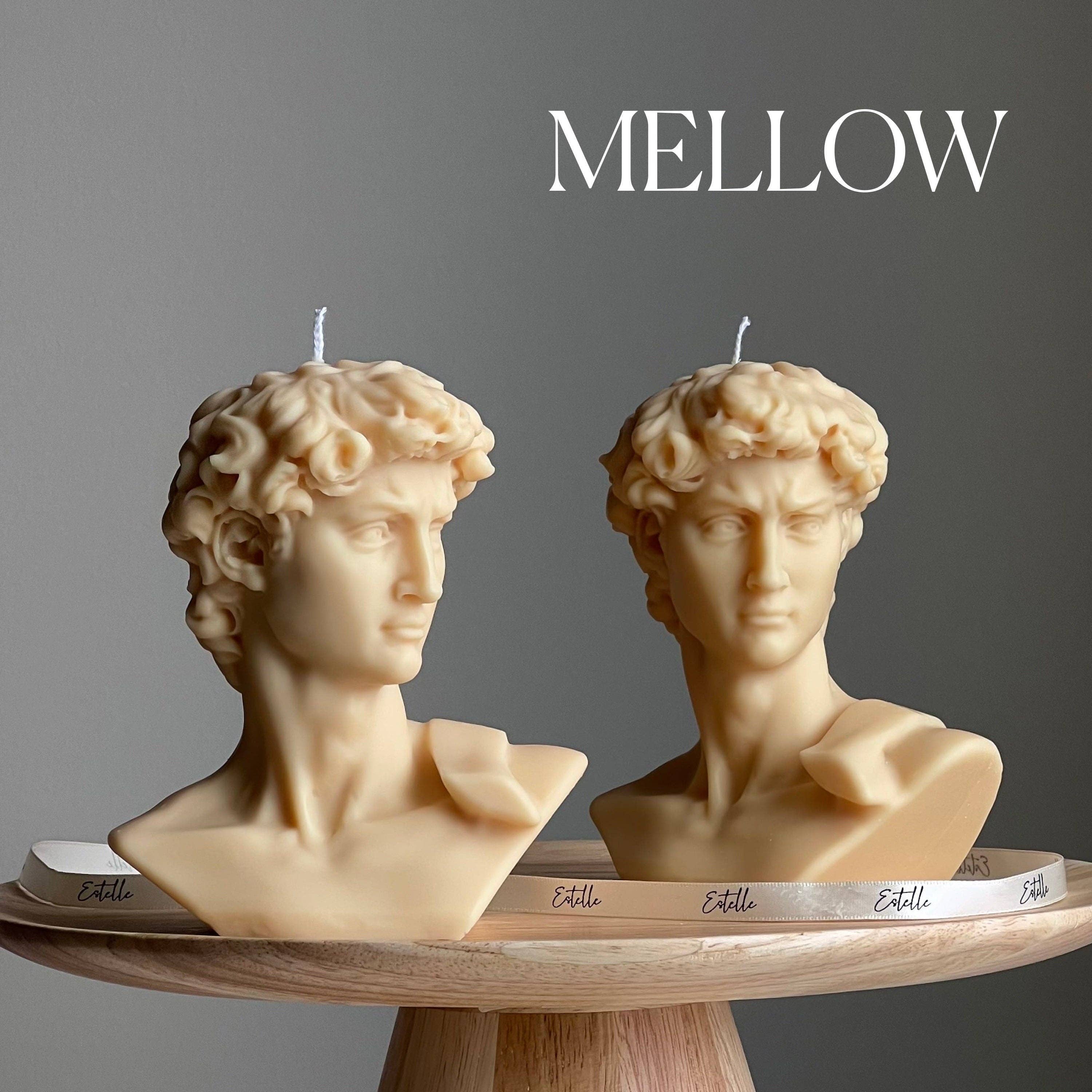 Estelle Studio - Wholesale Novelty Candle - Michelangelo's David Head Candle | Soy Wax Bust Statue Candle3